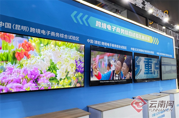 共享数贸机遇 打造发展新引擎——云南参展第二届全球数字贸易博览会侧记